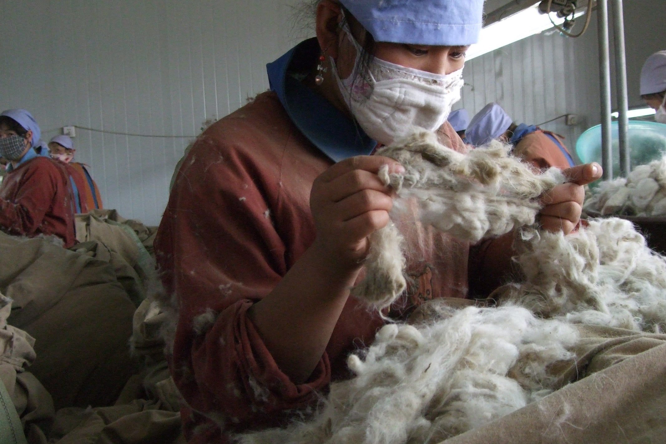 <!--㉞【土毛(どもう)の選別】 地道だが現地の雇用を生む大事な工程-->Sorting of dirt and hair A steady but important process that creates local employment