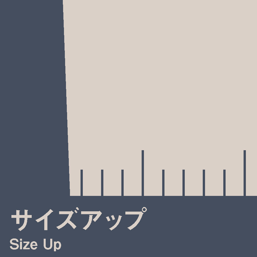 5升