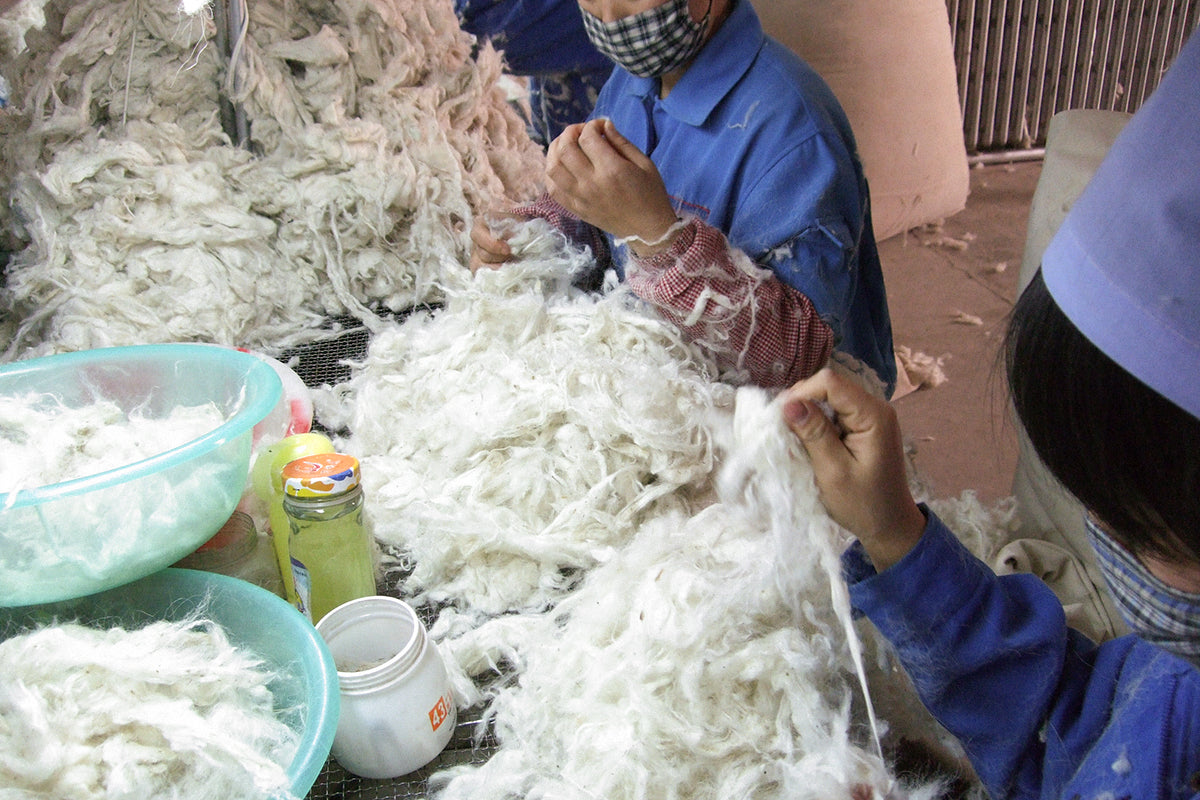 <!-- カシミヤが生まれるまで② 土毛の選別 -->Creating Cashmere Fluffy② Sorting of Soil Hair